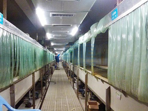 电镀车间环保空调